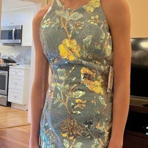 Sleeveless Embroidered Sequin Dress
